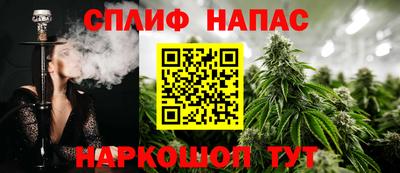 крисы Краснознаменск