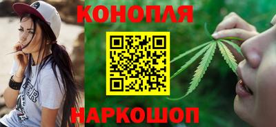 крисы Краснознаменск