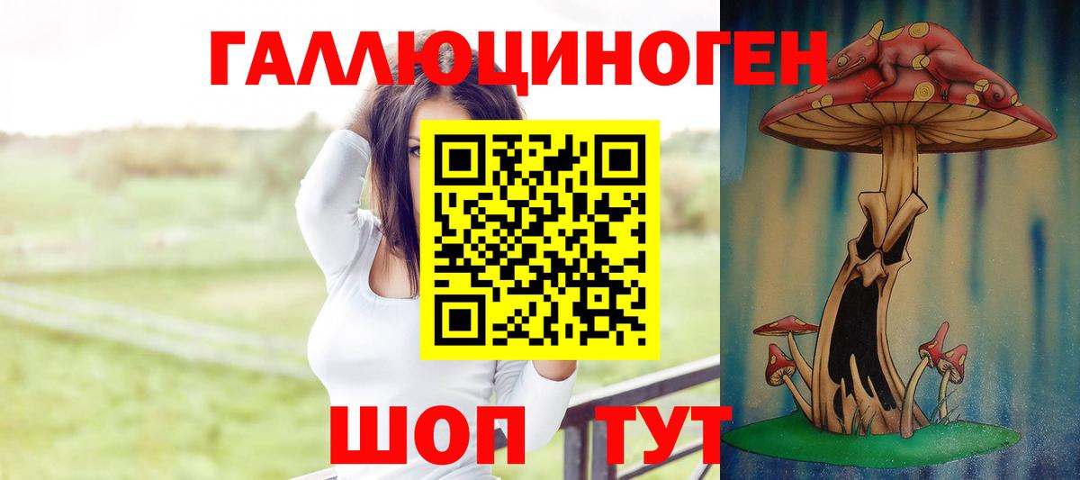 Псилоцибиновые грибы Cubensis  Вход с VPN  Заволжье 