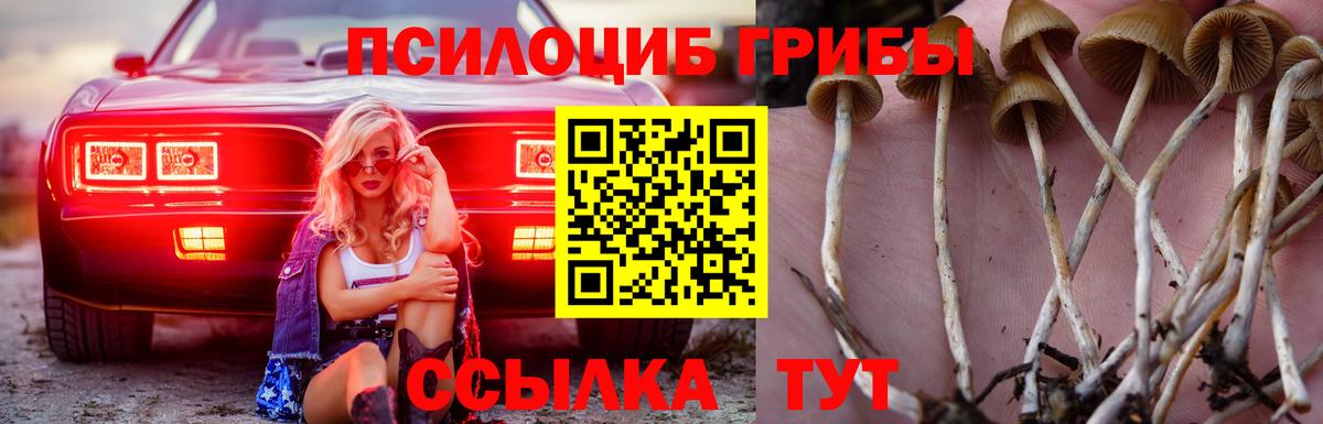 Псилоцибиновые грибы Magic Shrooms Заволжье